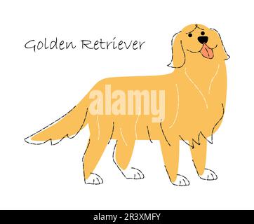 Golden retriever dog clipart, vintage animal illustration vector Stock ...