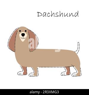 Dachshund . Cute dog cartoon characters . Flat shape and line stroke design . Vector illustration . Stock Vector