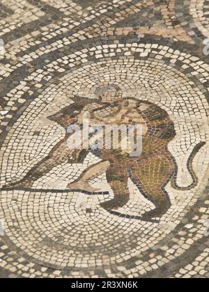Mosaicos de la casa de los trabajos de Hércules.Ciudad Romana de Volubilis(II d.c.), yacimiento arqueologico.Marruecos. Stock Photo