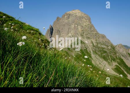 Midi d'Ossau peak, 2884 meters, from Saoubiste peak, Pyrenees National Park, Pyrenees Atlantiques, France. Stock Photo