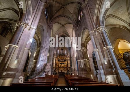 Catedral de Santa María de la Asunción, El Burgo de Osma, Soria, comunidad autónoma de Castilla y León, Spain, Europe. Stock Photo