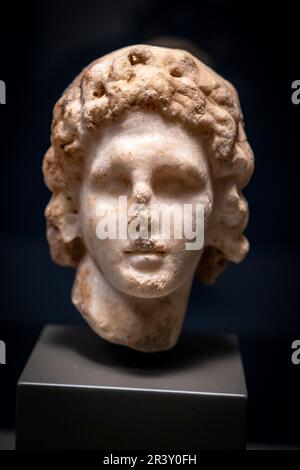 Head of Alexander the Great Stock Photo