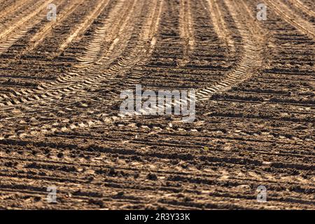 Meyenburg, Deutschland. 19th Apr, 2023. Tractor tracks on a field || Model release available Credit: dpa/Alamy Live News Stock Photo