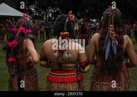 Backs of indigenous women wearing traditional outfits and ornaments during the celebrations of the Indigenous Peoples Day, at the Aldeia Katurãma. Stock Photo