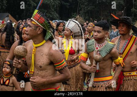 Chief Ãngohó Pataxó, an indigenous community leader, dances surrounded by other members of the Pataxó people during the celebrations of the Indigenous Peoples Day, at the Aldeia Katurãma. Stock Photo