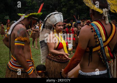 Chief Ãngohó Pataxó, an indigenous community leader speaks with other indigenous leaders during the celebrations of the Indigenous Peoples Day, at the Aldeia Katurãma. Stock Photo