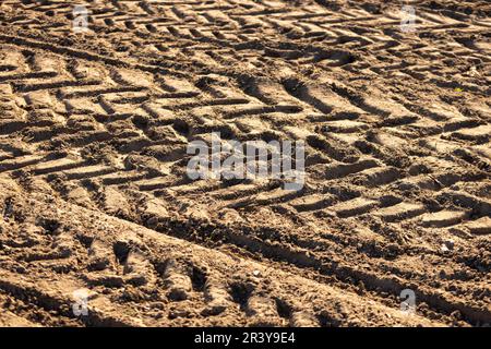 Meyenburg, Deutschland. 19th Apr, 2023. Tracks one tractor Fendt 936 with 360 PS, || Model release available Credit: dpa/Alamy Live News Stock Photo