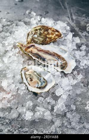 Oysters with lemon on ice on gray background close-up Stock Photo