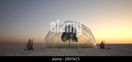 Tree under a glass dome in desert area - 3D Illustration Stock Photo ...