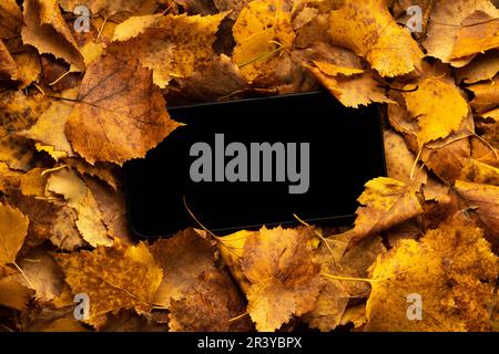 the mobile phone turned off with a black screen got lost in the foliage in the park. loss or blank copy space screen. Stock Photo