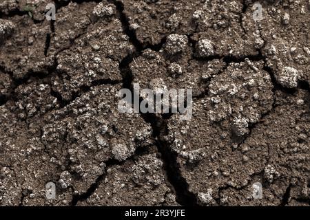 Dry soil with cracks, background photo texture Stock Photo