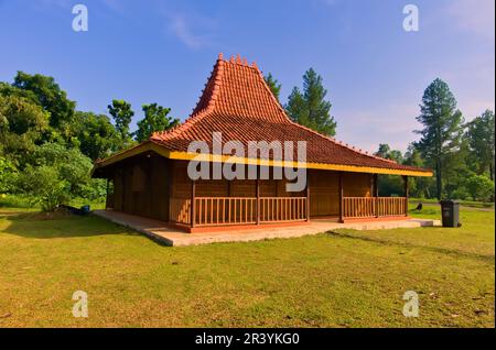 Javanese traditional houses, Indonesian traditional houses are often called joglo houses, wooden architecture Stock Photo