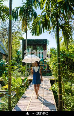 Wooden cottage surrounded by palm trees and a vegetable garden in the countryside. cabin rainforest Stock Photo