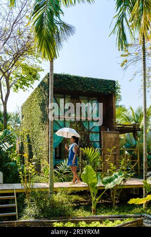 Wooden cottage surrounded by palm trees and a vegetable garden in the countryside. cabin rainforest Stock Photo