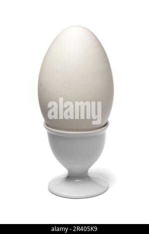 White egg cup with fresh picked white large goose egg close up isolated on white background Stock Photo