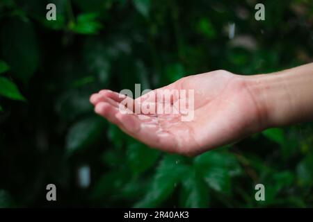 Catching raindrops Stock Photo