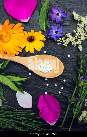Homeopathic medicine pills on wooden spoon, decorated with fresh various herbal and flower plants, dark wood background. Stock Photo