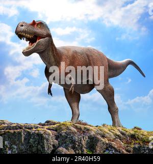 Albertosaurus sarcophagus dinosaur standing on a rock. Stock Photo