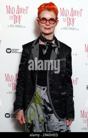 sandy-powell-attending-the-world-premiere-of-mad-about-the-boy-the