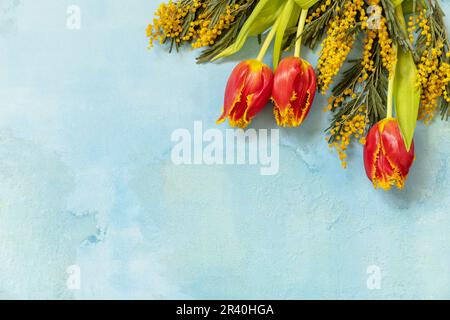 Mimosa flowers on blue background. Womens day, Mothers day, Valentines Day, Birthday celebration concept. Greeting card. View fr Stock Photo