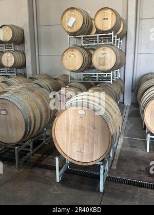 Oak barrels or barriques for aging the wine at the Ferrer Winery in Gualtallary, Tupungato, Valle de Uco,  Argentina. Stock Photo