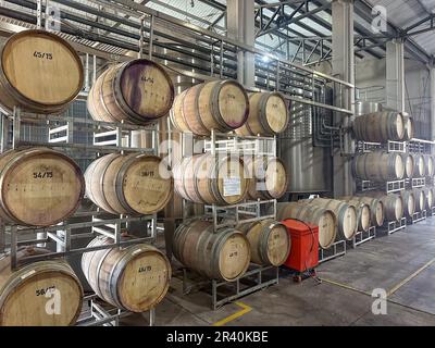 Oak barrels or barriques for aging the wine at the Ferrer Winery in Gualtallary, Tupungato, Valle de Uco,  Argentina. Stock Photo