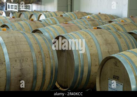 Oak barrels or barriques for aging the wine at the Ferrer Winery in Gualtallary, Tupungato, Valle de Uco,  Argentina. Stock Photo