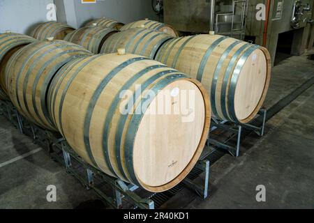 Oak barrels or barriques for aging the wine at the Ferrer Winery in Gualtallary, Tupungato, Valle de Uco,  Argentina. Stock Photo