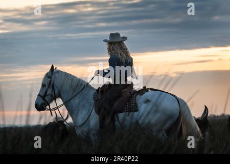 Cowboy carrying a long cattle prod near a herd of bulls, Camargue, France Stock Photo