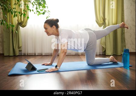 Young pregnant woman watching online pregnancy yoga courses on digital tablet, doing prenatal sunbird, bird-dog pose Stock Photo