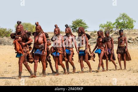 Group of women of the Himba tribe walks through the desert in national clothes. Stock Photo