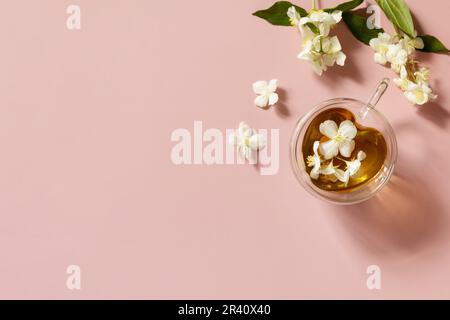 Cup of jasmine tea with jasmine flowers on a pink pastel background. Organic natural drinks concept. View from above. Stock Photo
