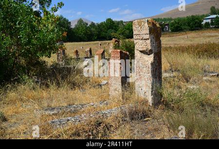 Halime Hatun Vault is a Seljuk mausoleum located in the Gevas district of Turkey. Stock Photo