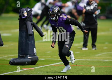 Baltimore Ravens wide receiver Dontay Demus Jr. runs a route during the  first half of a preseason NFL football game, Saturday, Aug. 12, 2023, in  Baltimore. (AP Photo/Julio Cortez Stock Photo - Alamy