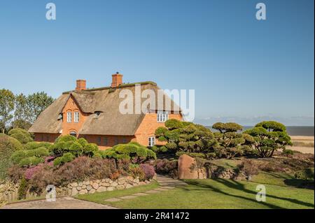 Thatched cottage Stock Photo