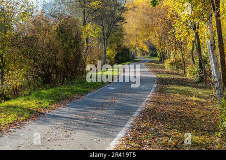 Cycle lane or bicycle path in Val Venosta Vinschgau in autumn, Trentino Alto Adige Südtirol, South Tyrol, Italy Stock Photo