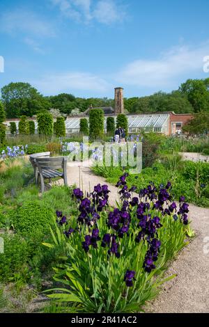 Early summer in the Paradise Garden at RHS Bridgewater, Greater Manchester, England Stock Photo