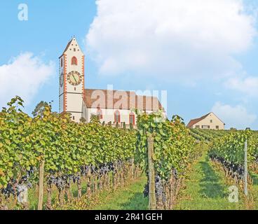 Mountain Church St. Moritz Hallau, Canton Schaffhausen Stock Photo