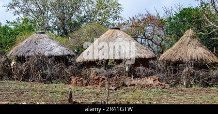 Traditional round huts with grass roof and clay wall in a remote village. Kenya, Africa.