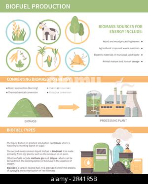 Biofuel Production Infographics Template Including Biomass Sources ...