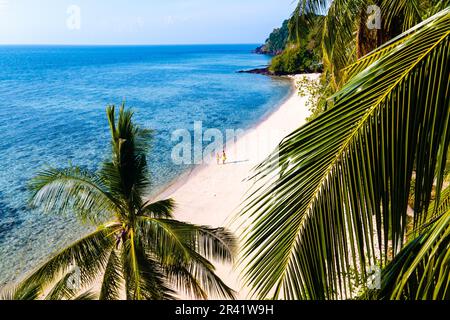 Couple of men and woman on the beach of Koh kradan Island Southern Thailand Stock Photo