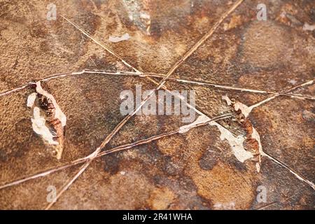 Textured background asset burned hard drive CD disk with clear scratches and burnt iron Stock Photo