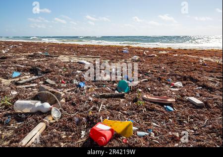 Trash on the beach Stock Photo