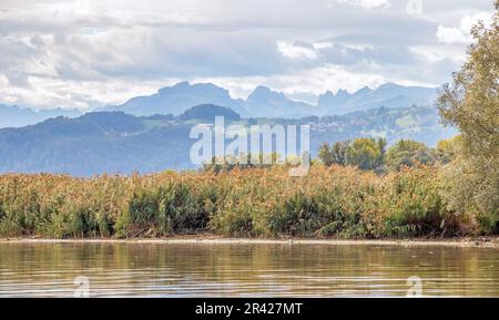 Alpine panorama, Dornbirner Ach near Hard, Vorarlberg, Austria Stock Photo