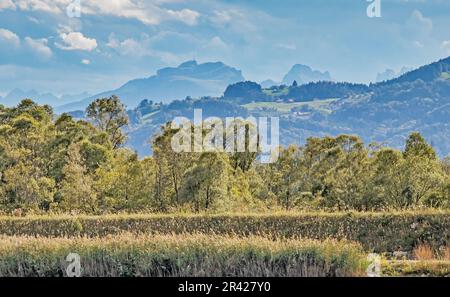 Alpine view near FuÃŸach, Vorarlberg, Austria Stock Photo