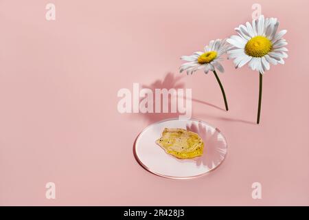 Cosmetic product with particles in petri dish on pink background. Sample natural skin care Stock Photo