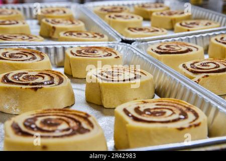 Fresh pre-baked cinnamon rolls in silver trays Stock Photo