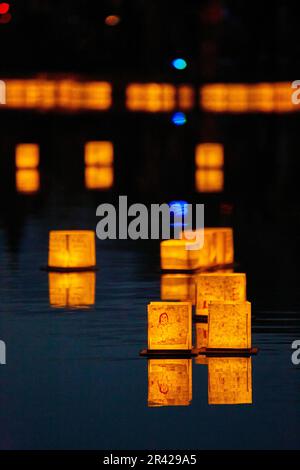 Vertical of golden lanterns floating on dark pond with neon light in background Stock Photo