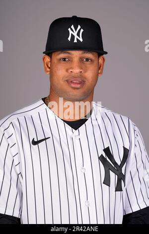 New York Yankees baseball team posed]