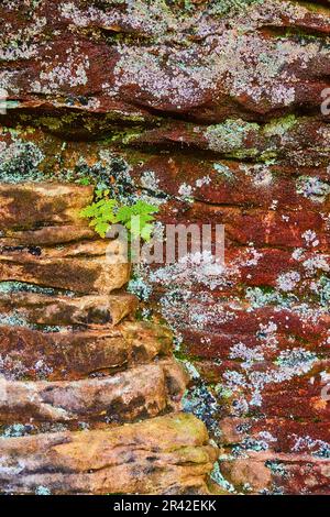 Red, brown, and tan stone with green and white lichen moss growing on cliff stone wall Stock Photo